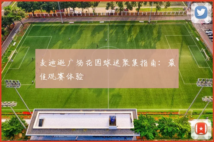 麦迪逊广场花园球迷聚集指南：最佳观赛体验