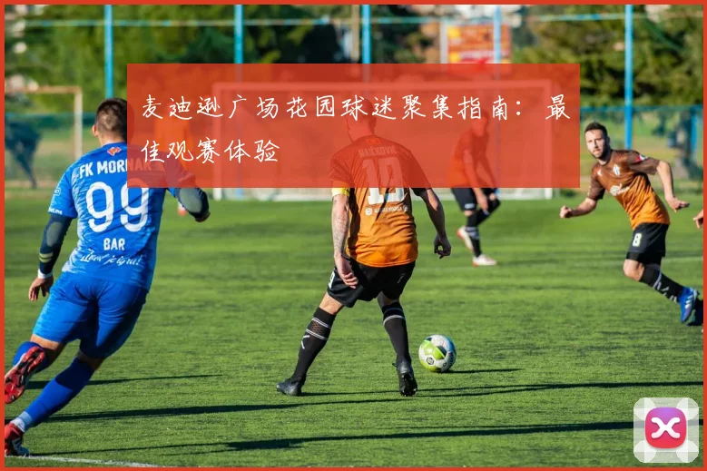 麦迪逊广场花园球迷聚集指南：最佳观赛体验